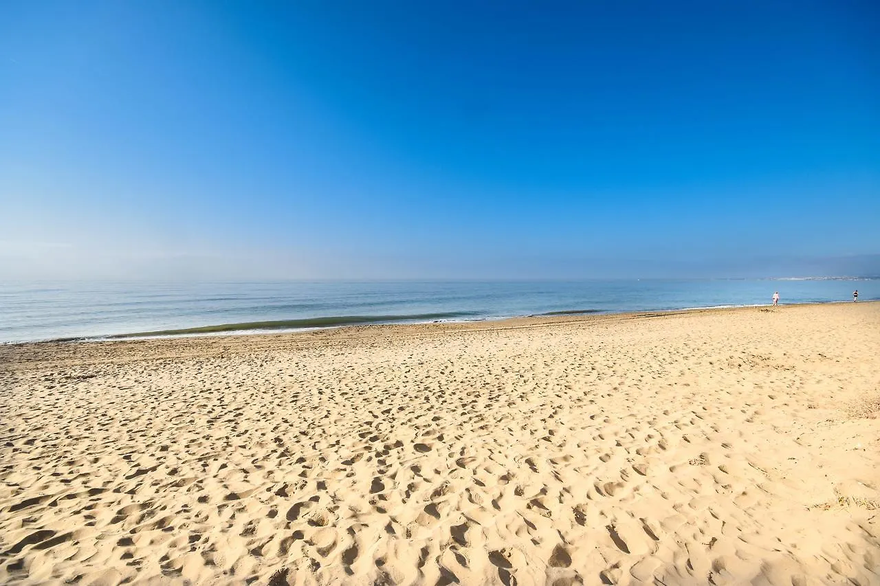 In The Second Line, Modern Beachfront Holiday Home In Costabella, Marbella Spain
